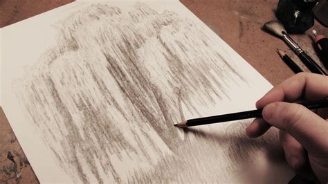 How To Draw A Weeping Willow Tree