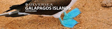 Silversea Galapagos Cruises, 2019, 2020 and 2021 Silversea Galapagos ...