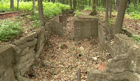 The Remains of Deserted Houses on Apple Island