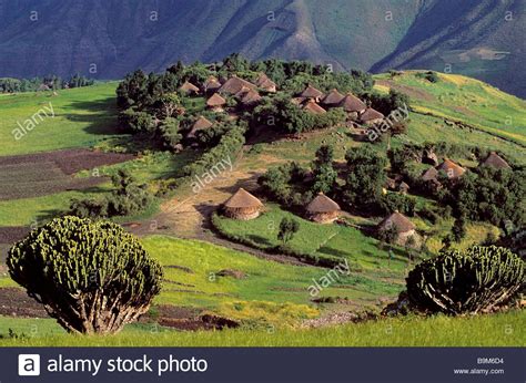 Ethiopia, Wolo, Lalibela area, village of Wollo tukuls (huts Stock ... | Ethiopia, Photo, Village