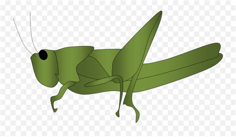 Grasshopper Clipart 4 - Png Belalang Emoji,Grasshopper Emoji - free transparent emoji - emojipng.com