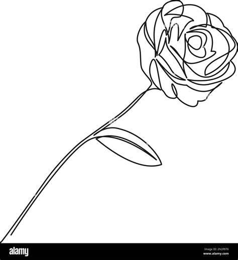 Rose Flower Pictures To Draw