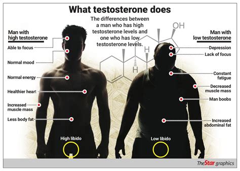 Low testosterone levels don't just occur in older men, but younger ages as well | The Star