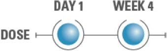 SKYRIZI® (risankizumab-rzaa) Dosing for Ps and PsA