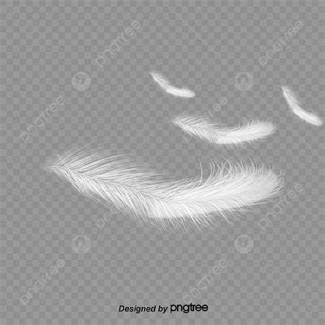 Feathering White Transparent, Feather, White, Feather Clipart PNG Image For Free Download