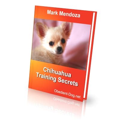 Chihuahua Training Secrets - How To Train a Chihuahua