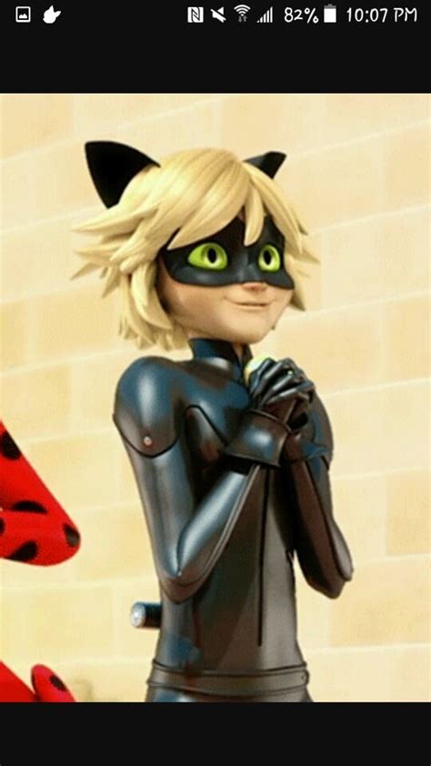 Funny cat noir memes | Miraculous Amino