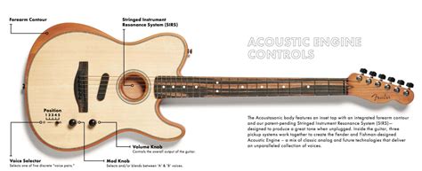 [DIAGRAM] Fender Stratocaster Wiring Diagram Ecaster Tele Voiced ...