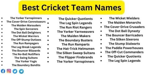 500+ Unique, Catchy & Funny Cricket Team Names & Suggestions - Facts Reader