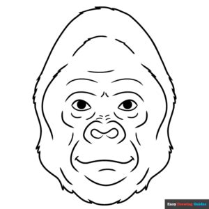 Gorilla Face Coloring Page | Easy Drawing Guides