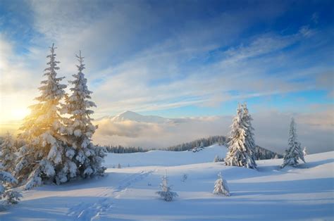 14 Snow Photography Tips for Wonderful Winter Photos