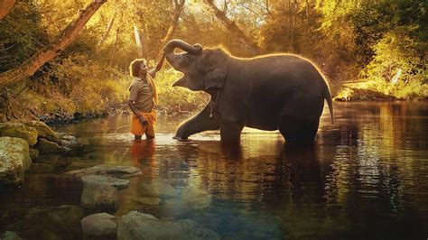 The Elephant Whisperers’ review by keithstratton • Letterboxd