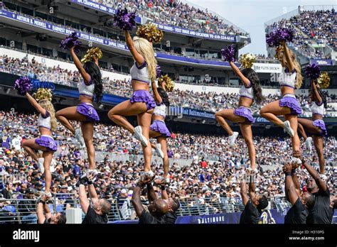 Baltimore ravens cheerleaders hi-res stock photography and images - Alamy