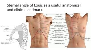 12_dEvents at Sternal Angle of Louis.pdf