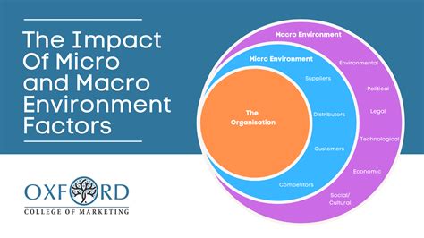 Micro and Macro Environment Factors | Oxford College of Marketing Blog