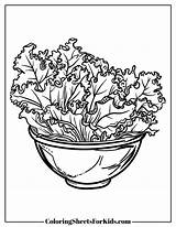 Salad Coloring Pages Free Downloads  Sheets For Kids sketch template