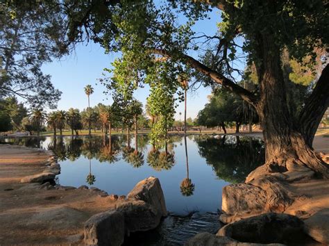 Reid Park/Tucson Az | Outdoor, Location photography, Travel