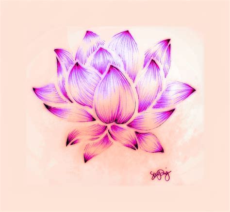 Lotus Flower Drawing - Sara Riley | Flower drawing, Lotus flower drawing, Lotus flower tattoo