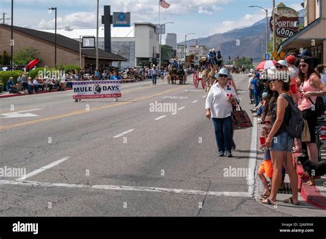 The Mule Days Parade is a staple of the Mule Days celebration in Bishop ...