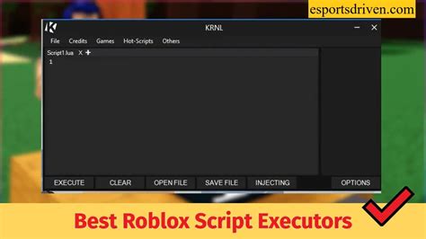 Best Roblox Script Executors (Free and Paid)