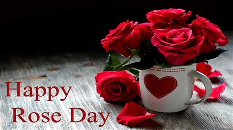 Happy Rose Day Photos – VitalCute