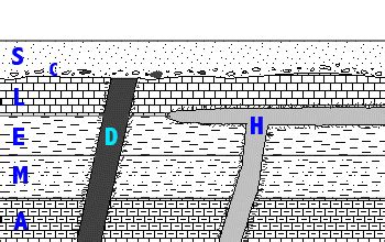 Geologic Sections: Intrusion [Athro Limited: Geology, Earth Science]