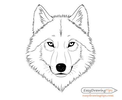 How to Draw a Wolf Face & Head Step by ... | Wolf face drawing, Wolf face, Wolf eye drawing