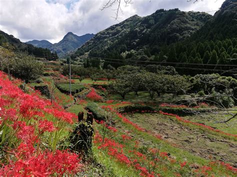 information, places, tours & more - Explore Kumamoto