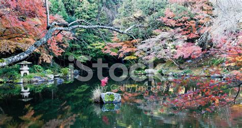 Autumn Japanese Garden Stock Photo | Royalty-Free | FreeImages