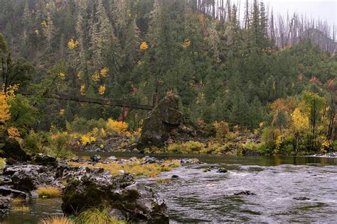 The Swaying Bridge Photograph by Steven Clark | Pixels