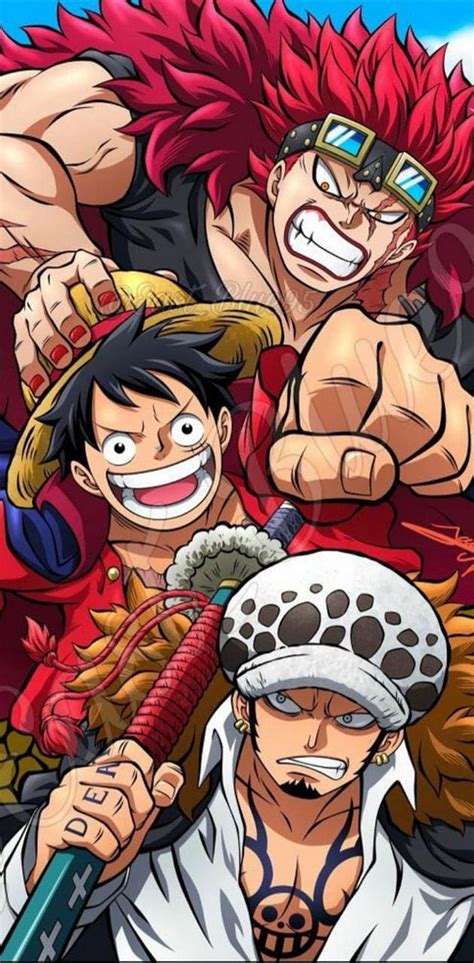 846 Wallpaper Luffy Law Kid Images & Pictures - MyWeb