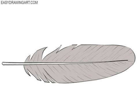 How to Draw a Feather - Easy Drawing Art