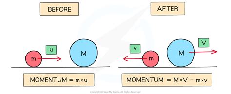 Conservation of Momentum | Oxford AQA IGCSE Physics Revision Notes 2016 | Save My Exams