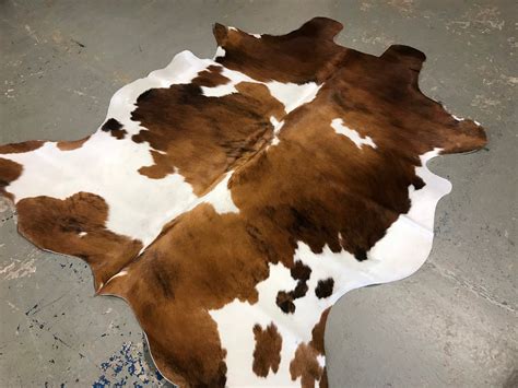 Tri Color Cowhide Rug Size 6ft x 6ft by Cowhide Texas Store Inc. -Actual Rug you will Receiving ...