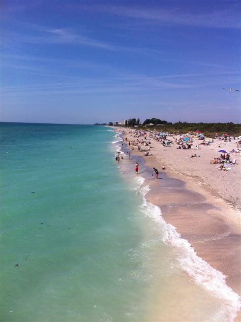 Venice Florida. How's the red tide today? Ha!