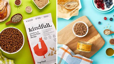 Target debuts new pet food brand as the retailer expands its 'owned ...