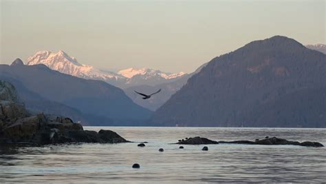 What is the Salish Sea? - Our Salish Sea