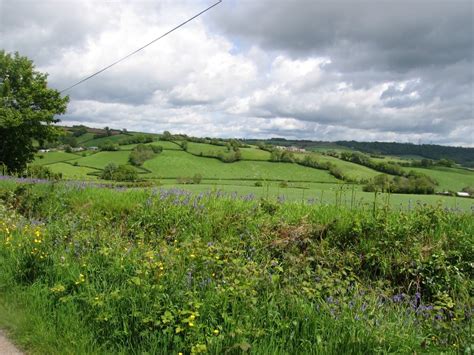 "Devon countryside from the country lanes near Dalwood, Devon" by poe ...