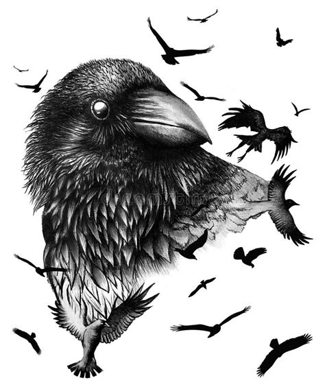 bird Art Drawing Illustration - Karina Shown