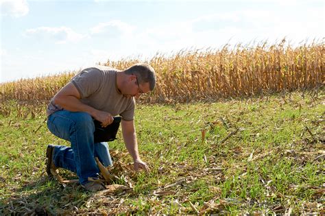 No-Till, Cover Crops Are Keys to Soil Health - Discover Monsanto