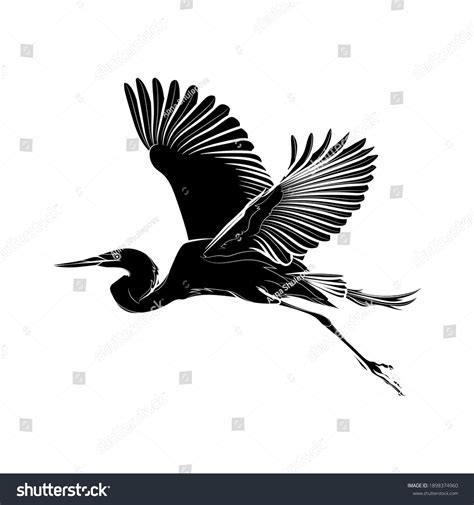 Silhouette Flying Great Egret Ardea Alba Stock Vector (Royalty Free) 1898374960 | Shutterstock