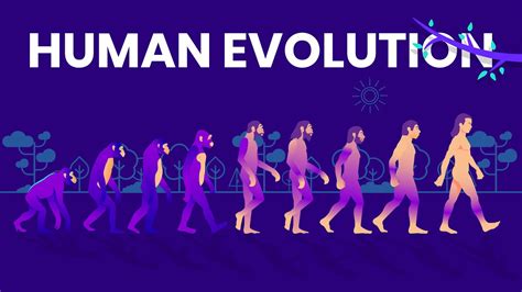 Human Evolution Animated Timeline