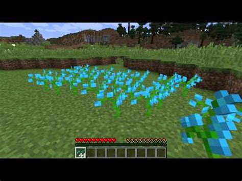 What are Blue Orchids - Minecraft Flowers - YouTube