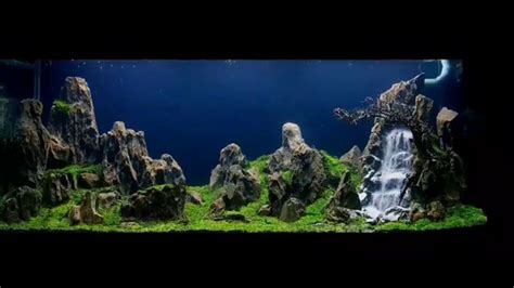 Aquarium sand waterfall 100 gallon#biotope #aquarium #aquascape#Terrarium My waterfull aquascape ...