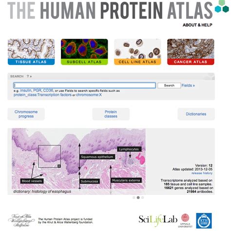 The Human Protein Atlas reaches a major milestone - SciLifeLab