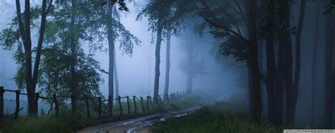 🔥 Download Misty Road 4k HD Desktop Wallpaper For Ultra Tv Dual by @smcdonald22 | Suspense ...