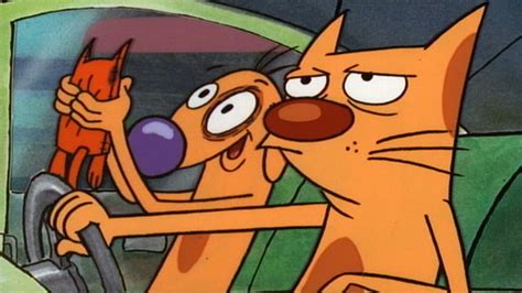 Catdog Dog Gone