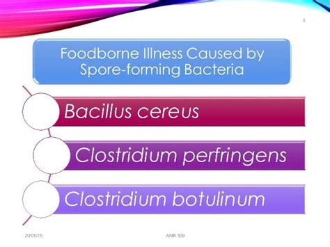 food spoilage bacteria