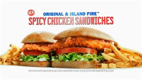 Sonic Drive-In Spicy Chicken Sandwiches TV Commercial, 'New Word' - iSpot.tv