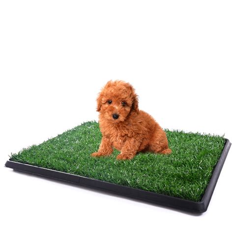 Topcobe Artificial Grass, Dog Potty Grass, Puppy Potty Trainer, 25"x20 ...